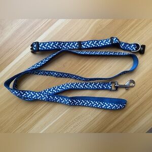 🐶Blue bone Matching dog collar and leash